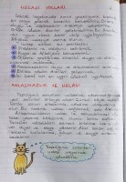 İnsan hakları ve yurttaşlık... Uzlaşı yolları