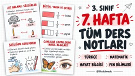 7. HAFTA TÜM DERSLER DERS NOTLARI