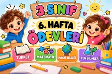 CEVAP ANAHTARLI 6. HAFTA HAFTA SONU ÖDEVLERİ