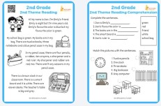 Maarif Model 2.sınıf 2.reading comprehension