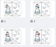 Winter holiday present