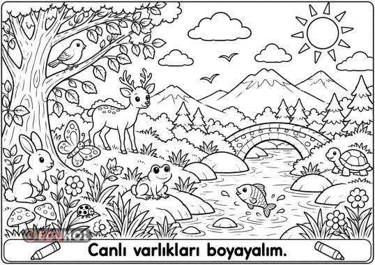 Canlı varlıkları boya