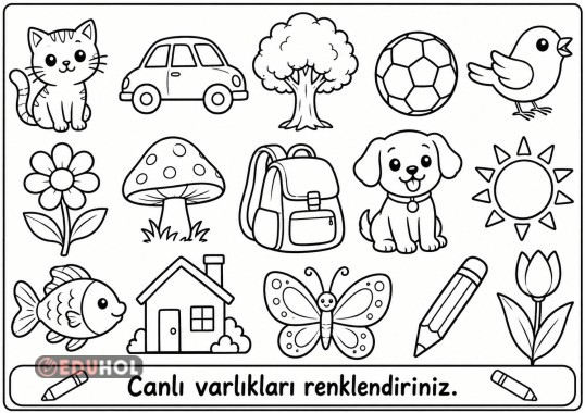 Canlı varlıkları boyayalım