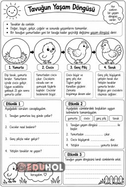 Canlıların Yaşam Döngüsü