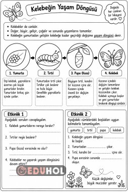 Canlıların Yaşam Döngüsü
