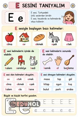 E SESİ