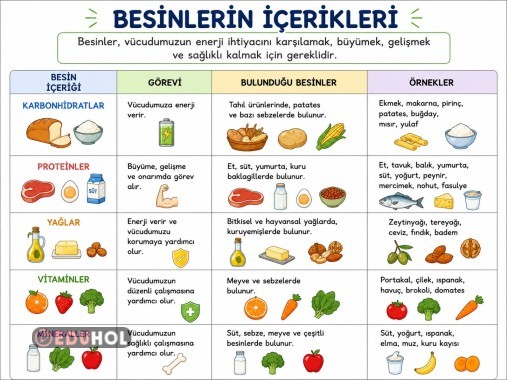 Fen Bilimleri BESİN İÇERİKLERİ