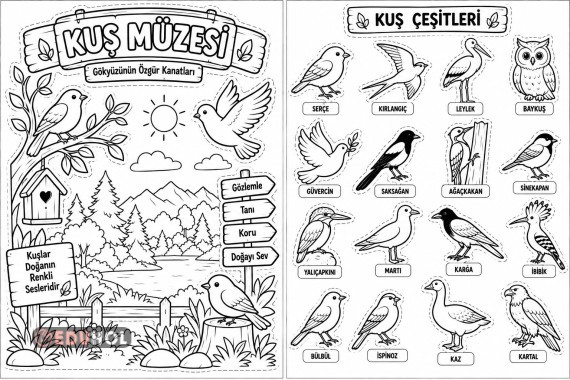 Kuş Müzesi