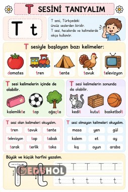 T SESİ