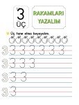 RAKAMLARI YAZALIM-ÜÇ