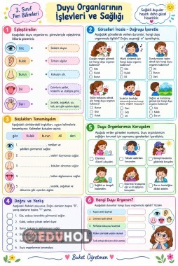 Fen Bilimleri - Duyu Organlarının İşlevleri ve Sağlığı