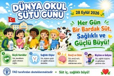 28 Eylül Dünya Okul Sütü Günü Dijital Pano