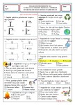 4. Sınıf Fen Bilimleri 2. Dönem 2. Yazılı Soruları Word