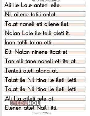 ANETİL FARKLI CÜMLELER.