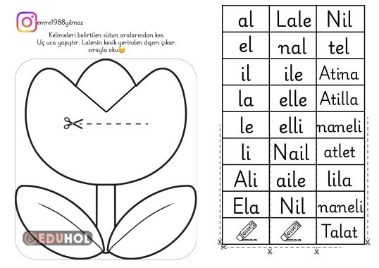 ANETİL OKUMA KESME BOYAMA ETKİNLİĞİ