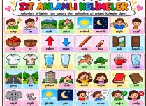 ZIT ANLAMLI KELİMELER AFİŞ