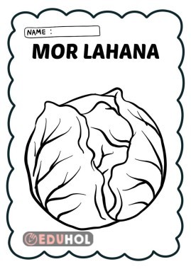 8 tane kış sebzesi boyama