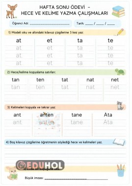 T SESİ HAFTA SONU ÖDEVİ HECE VE KELİME YAZMA ÇALIŞMASI