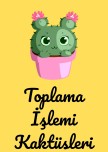 1.sınıf Toplama İşlemi Kaktüs Oyunu