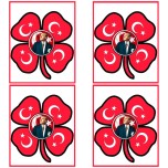 Cumhuriyet Bayramı 100. Yıl pano görselleri