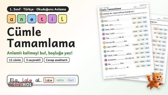 1. Sınıf Cümle Tamamlama – a n e t i l 3 Seçenekli Okuduğunu Anlama (Cevaplı)