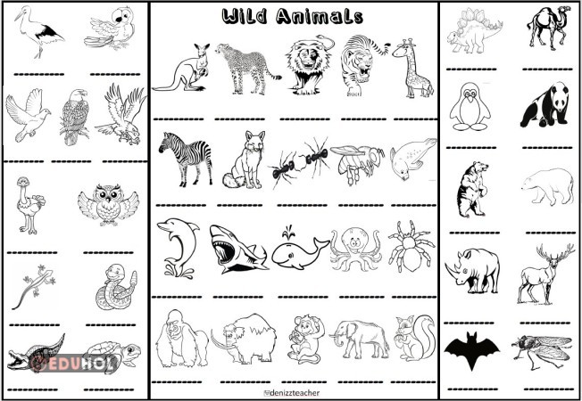 7Th Grade Unit 4:Wild Animals ... · Eduhol - Etkinlik İndir Oyun Oyna ...