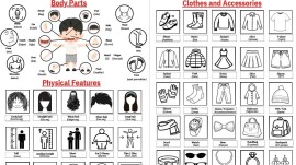 5.T3.Physical Features & Clothes Words