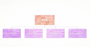 Kök(İsim Kök, Fiil Kök, Sesteş Kök, Ortak Kök)