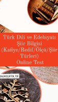 Şiir Bilgisi Online Test