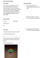 Zıplayan Para Deneyi ( GENLEŞME)