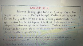 MIRMIR DEDE - OKUDUĞUNU ANLAMA ÇALIŞMASI