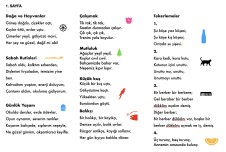 okuma hızlandırma çalışmaları