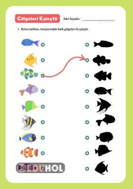 GÖRSEL EŞLEŞTİRME