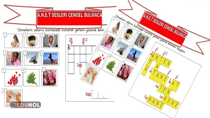 A,N,E,T SESLERİ ÇENGEL BULMACA