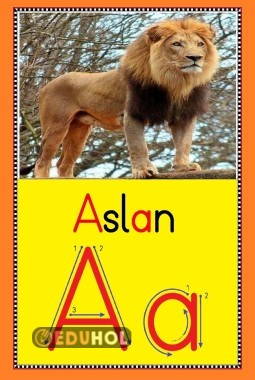 A SESİ PANO GÖRSELİ