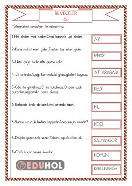BİLMECELER 13