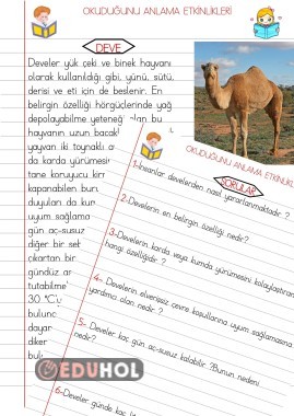 OKUDUĞUNU ANLAMA ÇALIŞMALARI 21