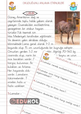 OKUDUĞUNU ANLAMA ÇALIŞMALARI 23