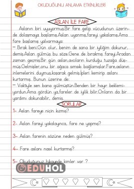 OKUDUĞUNU ANLAMA ETKİNLİKLERİ-8-