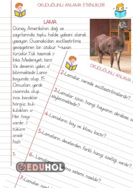OKUDUĞUNU ANLAMA ETKİNLİKLERİ(LAMA)
