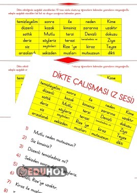 Z SESİ DİKTE ÇALIŞMASI