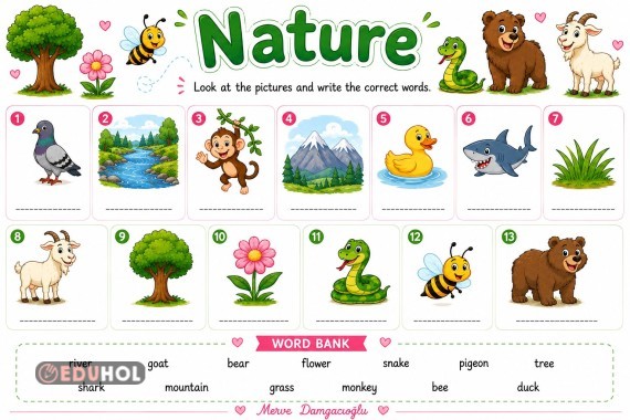 Nature vocabulary