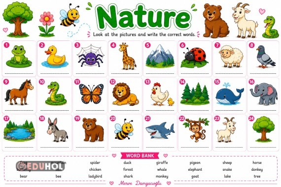 Nature