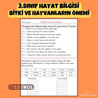 3.SINIF HAYAT BİLGİSİ  BİTKİ VE HAYVANLARIN ÖNEMİ ETKİNLİK