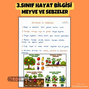 3.SINIF HAYAT BİLGİSİ  MEYVE VE SEBZELER DEFTER NOTU