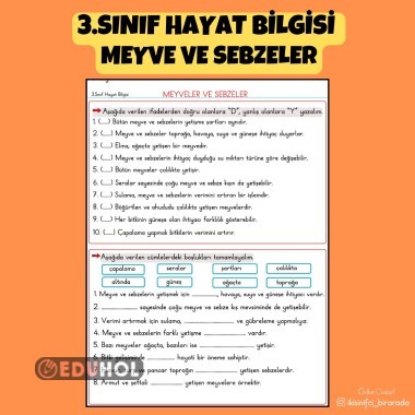 3.SINIF HAYAT BİLGİSİ  MEYVE VE SEBZELER ETKİNLİĞİ