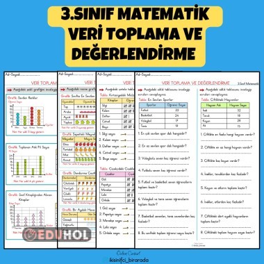 3.SINIF MATEMATİK VERİ TOPLAMA VE DEĞERLENDİRME ETKİNLİKLERİ
