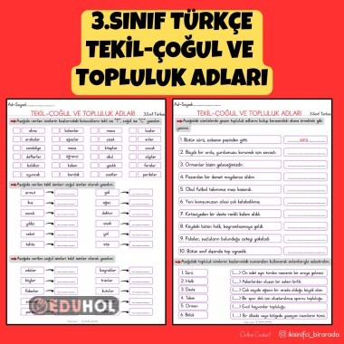 3.SINIF TÜRKÇE TEKİL-ÇOĞUL VE  TOPLULUK ADLARI ETKİNLİK