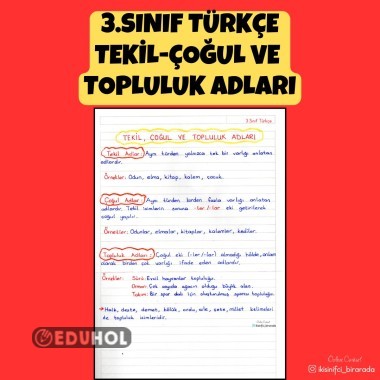 3.SINIF TÜRKÇE TEKİL-ÇOĞUL VE TOPLULUK ADLARI