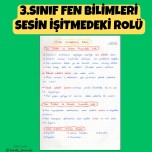 3.SINIF FEN BİLİMLERİ SESİN İŞİTMEDEKİ ROLÜ DEFTER NOTU